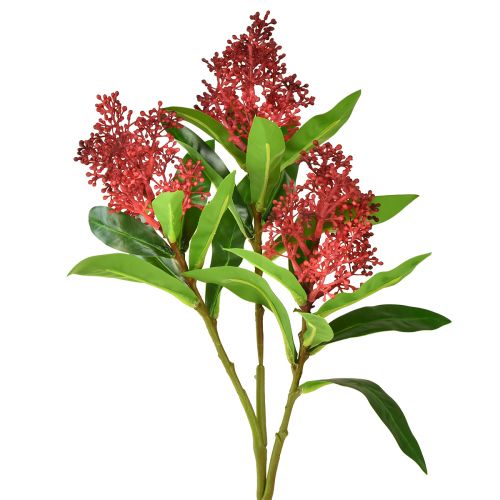 Fiori artificiali Skimmia japonica rossa Skimmie 45cm 2pz