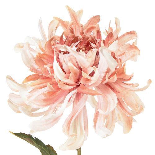 Prodotto Crisantemi artificiali rosa malva Ø13cm L72cm 2 pezzi