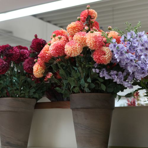 Prodotto Dalie artificiali rosa pesca Ø10cm L80cm 2 pezzi