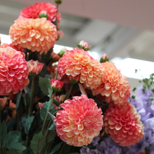 Prodotto Dalie artificiali rosa pesca Ø10cm L80cm 2 pezzi