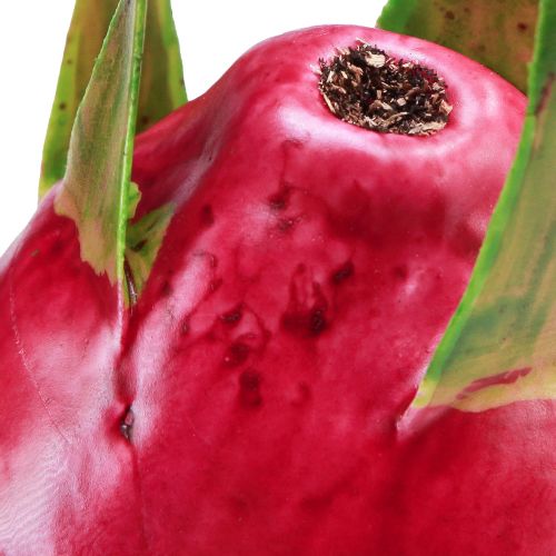Prodotto Frutto del drago artificiale Pitahaya frutto decorativo Ø8cm L15cm