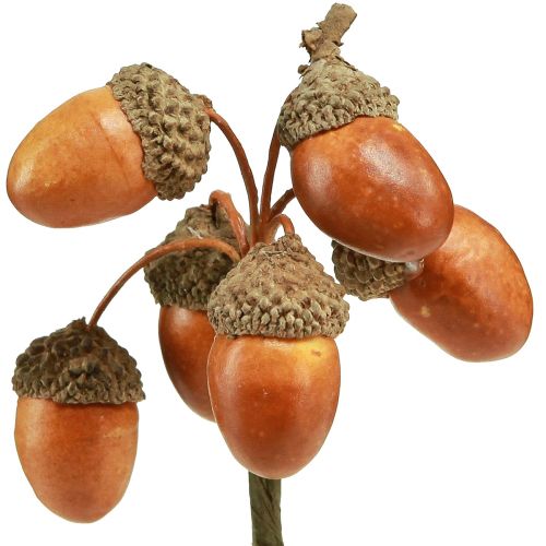 Floristik24 Ghiande artificiali su filo decorazione per ghirlanda autunnale 3 cm 6 pz