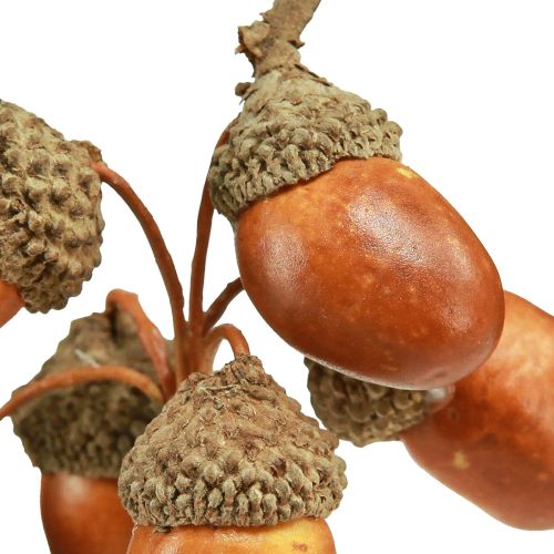 Floristik24 Ghiande artificiali su filo decorazione per ghirlanda autunnale 3 cm 6 pz