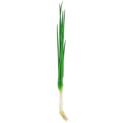 Prodotto Verdure decorative cipolline artificiali L30cm 4 pz