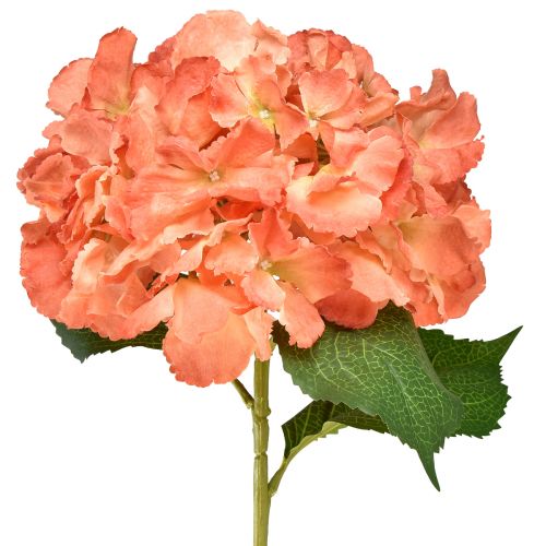 Prodotto Ortensia artificiale Gigante fiore decorativo salmone Ø23cm L84cm