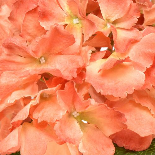 Prodotto Ortensia artificiale Gigante fiore decorativo salmone Ø23cm L84cm
