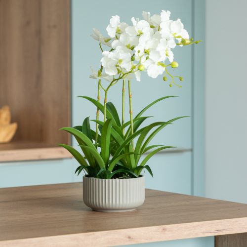 Floristik24 Orchidee artificiali fiori artificiali in vaso bianco 60 cm