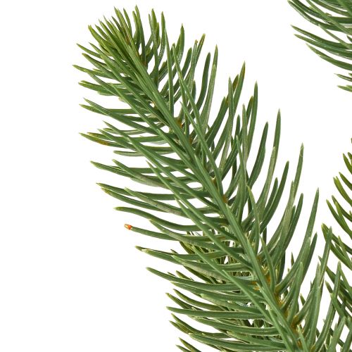 Floristik24 Rami di abete artificiale piccone di abete verde L50cm 3 pz