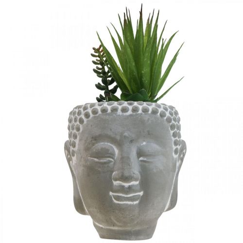 Floristik24 Vaso di fiori succulenti artificiali Buddha Ø12cm H25cm