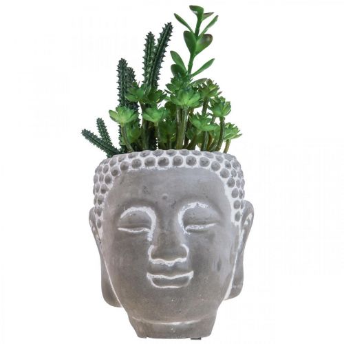 Floristik24 Vaso di fiori succulenti artificiali Buddha Ø12cm H24cm