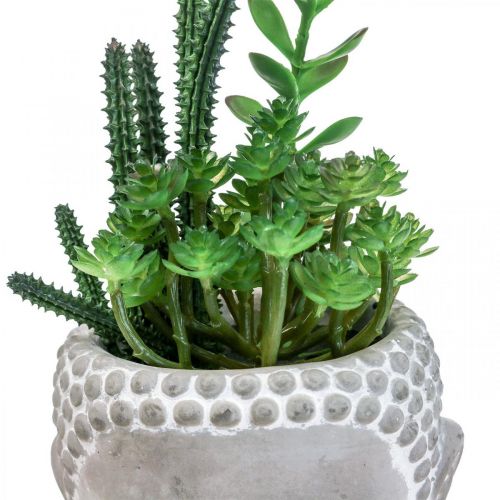 Floristik24 Vaso di fiori succulenti artificiali Buddha Ø12cm H24cm