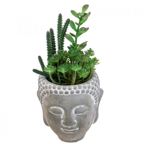 Floristik24 Vaso di fiori succulenti artificiali Buddha Ø12cm H24cm