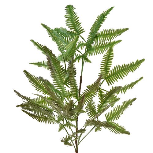 Prodotto Felce artificiale pianta artificiale felce foglie verdi 44 cm