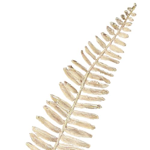 Prodotto Felce artificiale ramificata bianco crema piante artificiali L120cm