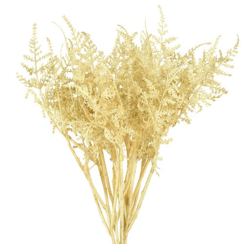 Prodotto Felce artificiale come sbiancata L34cm 12 pezzi 2 mazzi