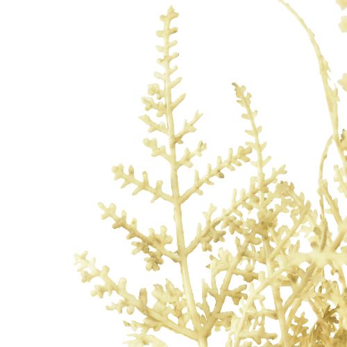 Prodotto Felce artificiale come sbiancata L34cm 12 pezzi 2 mazzi