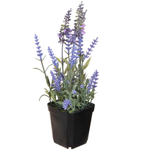 Floristik24 Lavanda artificiale in vaso Piante artificiali fiorite 25 cm
