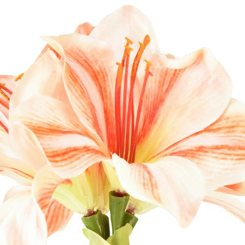 Prodotto Stella del cavaliere artificiale Fiori artificiali Amaryllis bianco rosso arancione 40 cm 3 pezzi