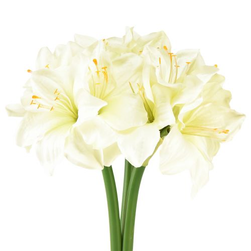 Prodotto Stella cavaliere artificiale come veri fiori artificiali amaryllis bianchi 40 cm 3 pezzi