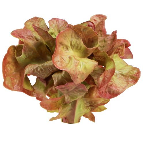 Prodotto Lattuga artificiale Lollo Rosso cespo decorativo Ø20cm
