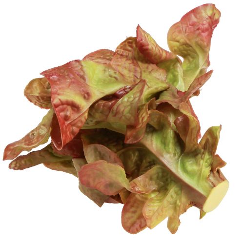 Prodotto Lattuga artificiale Lollo Rosso cespo decorativo Ø20cm