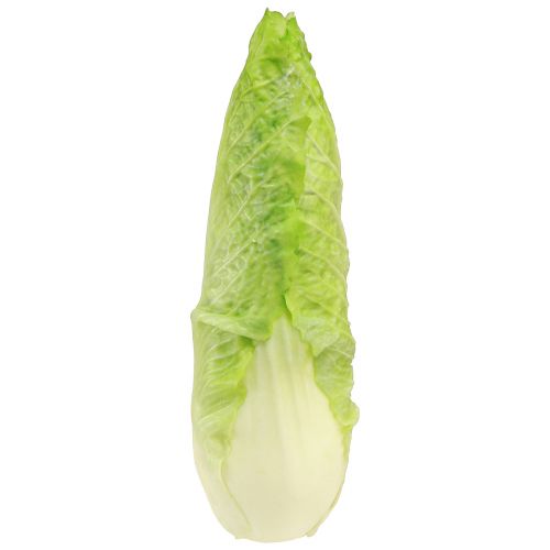 Manichino artificiale per cavolo appuntito Ø5cm H18cm