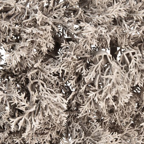 Prodotto Muschio artificiale Tappetino di muschio realistico Muschio artificiale grigio 25×25 cm