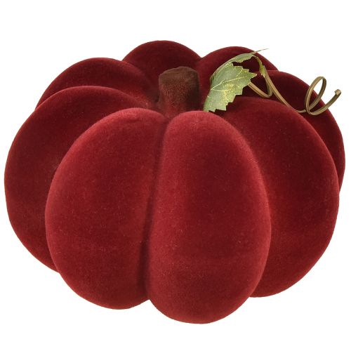 Prodotto Decorazione di zucca zucca floccata rosso bordeaux aspetto vellutato 20 cm 2 pezzi