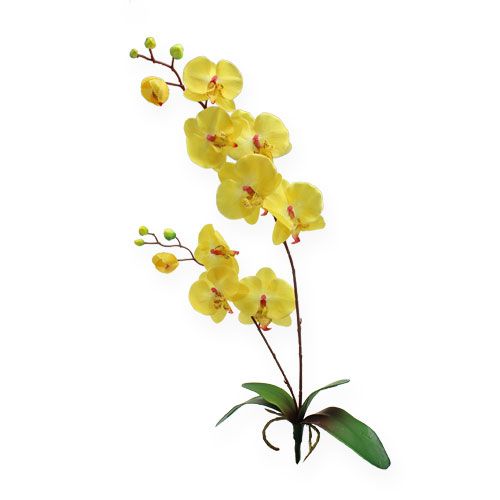 Floristik24 Orchidea artificiale gialla 68 cm