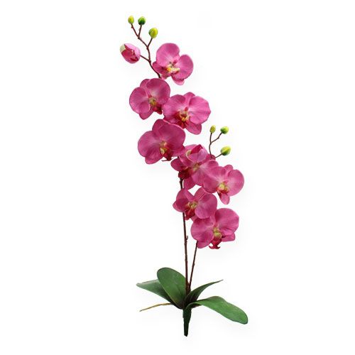 Orchidea artificiale con foglie Rosa 68cm