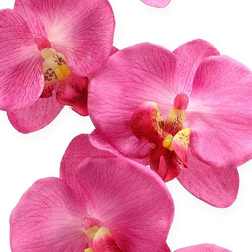 Prodotto Orchidea artificiale con foglie Rosa 68cm