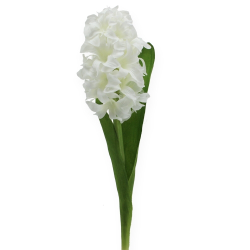 Floristik24 Fiori di seta giacinto bianco 33 cm