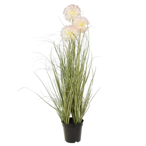 Floristik24 Fiori artificiali palla decorativa fiore allium ornamentale cipolla artificiale 78 cm