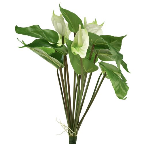 Floristik24 Fiori artificiali, fiore di fenicottero, anthurium artificiale bianco 36 cm