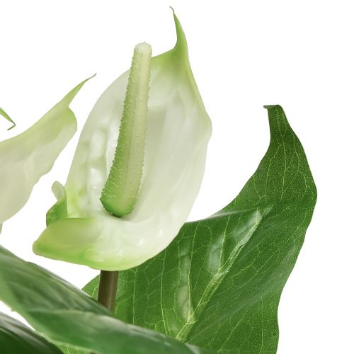 Prodotto Fiori artificiali, fiore di fenicottero, anthurium artificiale bianco 36 cm