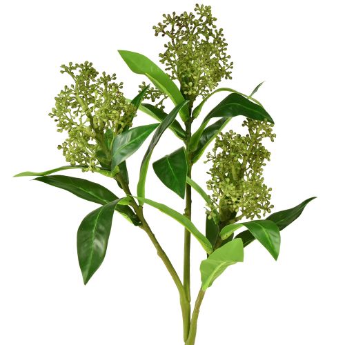 Prodotto Fiori artificiali verdi Skimmia japonica Skimmie 45 cm 2 pezzi