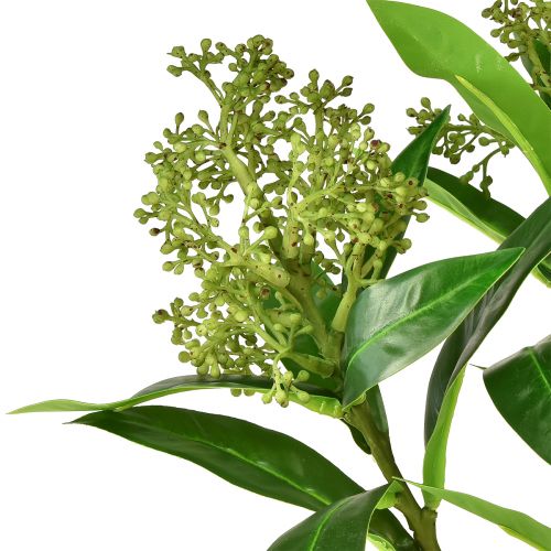 Prodotto Fiori artificiali verdi Skimmia japonica Skimmie 45 cm 2 pezzi
