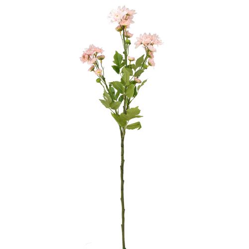Prodotto Fiori artificiali Astri artificiali Fiori di seta Rosa 80 cm