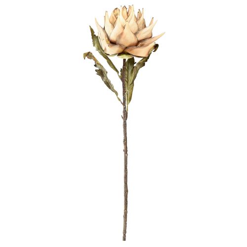 Prodotto Pianta artificiale crema di carciofi aspetto secco Ø15cm 73cm