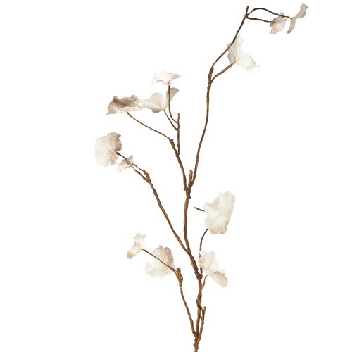 Floristik24 Ramo artificiale di Heuchera autunnale artificiale marrone crema L85 cm