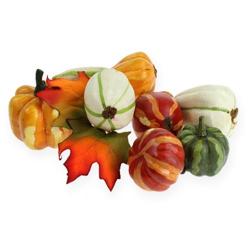 Mix di zucca colorato 12 pezzi | Floristik24.it