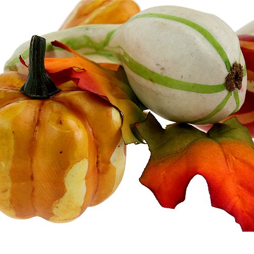 Mix di zucca colorato 12 pezzi | Floristik24.it
