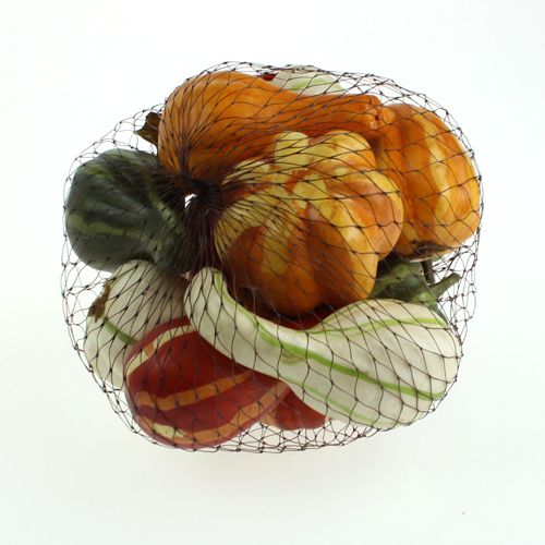 Mix di zucca colorato 12 pezzi | Floristik24.it