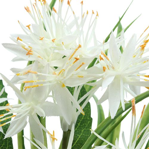 Floristik24 Mazzo decorativo bianco 28 cm