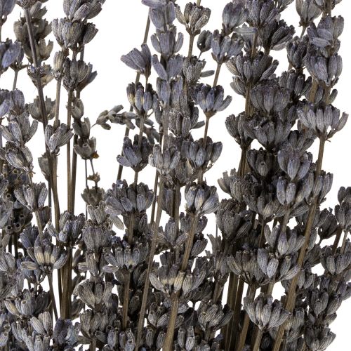 Prodotto Fiori secchi profumati di lavanda essiccati 35-40 cm 50 g