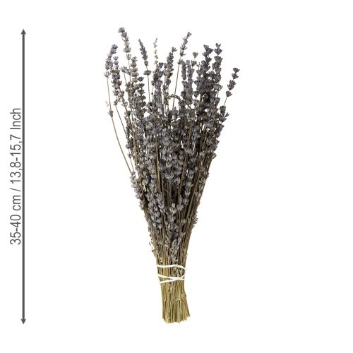 Prodotto Fiori secchi profumati di lavanda essiccati 35-40 cm 50 g