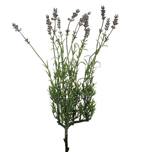 Floristik24 Lavanda artificiale 53 cm