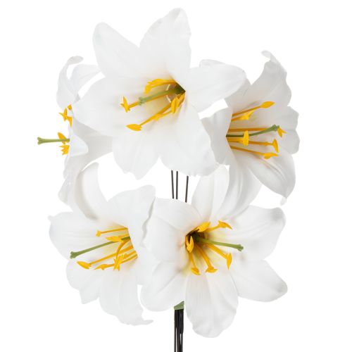 Floristik24 Giglio su filo, medio, 25 pezzi