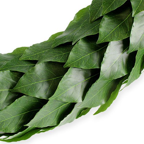 Floristik24 Corona di alloro Ø46cm verde