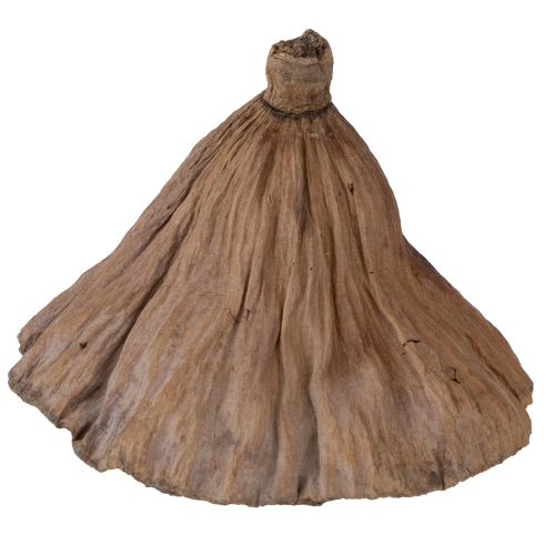 Prodotto Pistone di loto medio 100 pezzi naturale